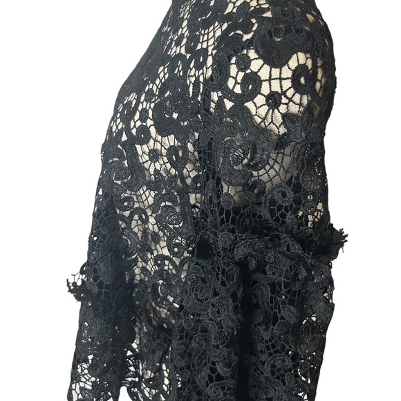 H&M Black Embroidered Lace Ruffle Long Balloon Sleeve Sheer Blouse Women Size 6 - Picture 4 of 16